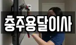 충주용달이사