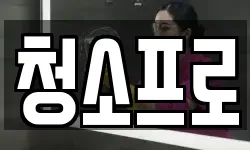 청소프로