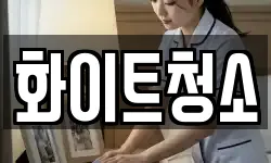 화이트청소