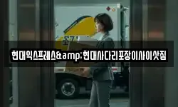 현대익스프레스&현대사다리포장이사이삿짐