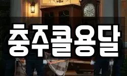 충주콜용달