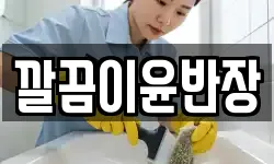 깔끔이윤반장