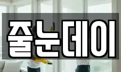 줄눈데이