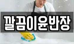 깔끔이윤반장